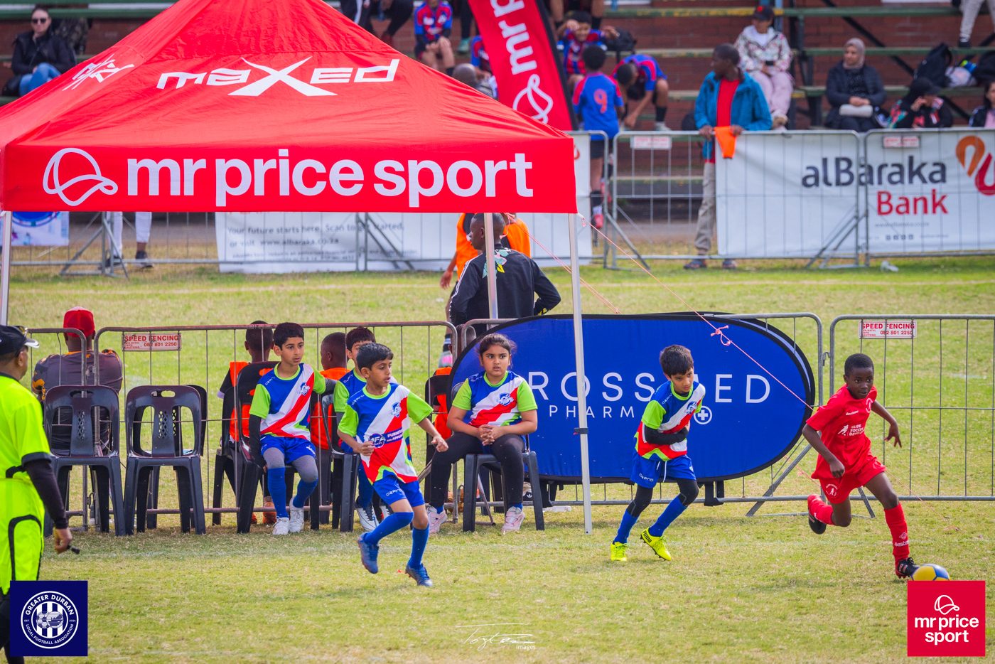 Crossmed Orient Premier 7's photo 3