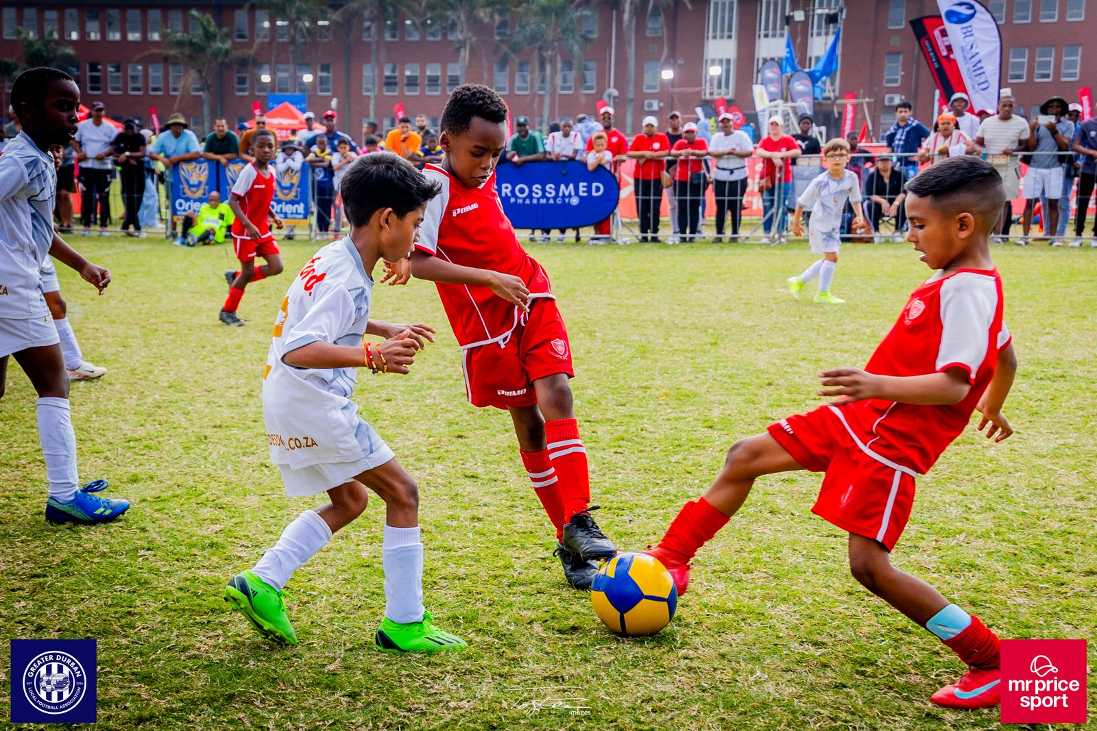 Crossmed Orient Premier 7's photo 77