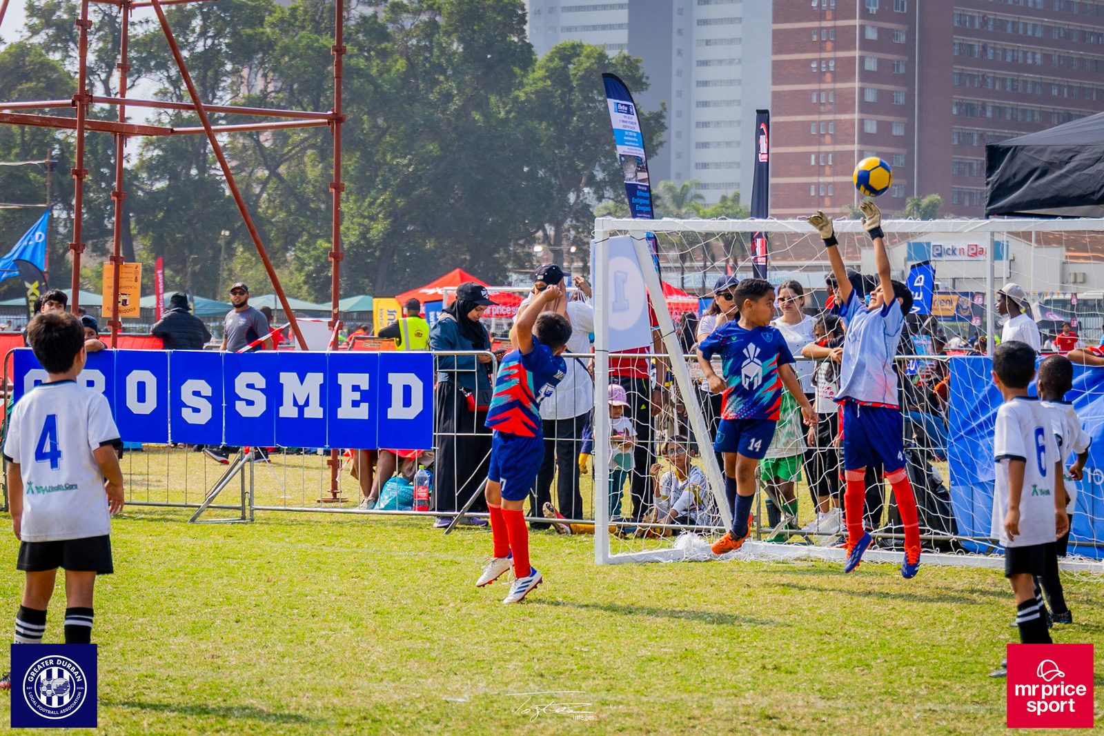 Crossmed Orient Premier 7's photo 82