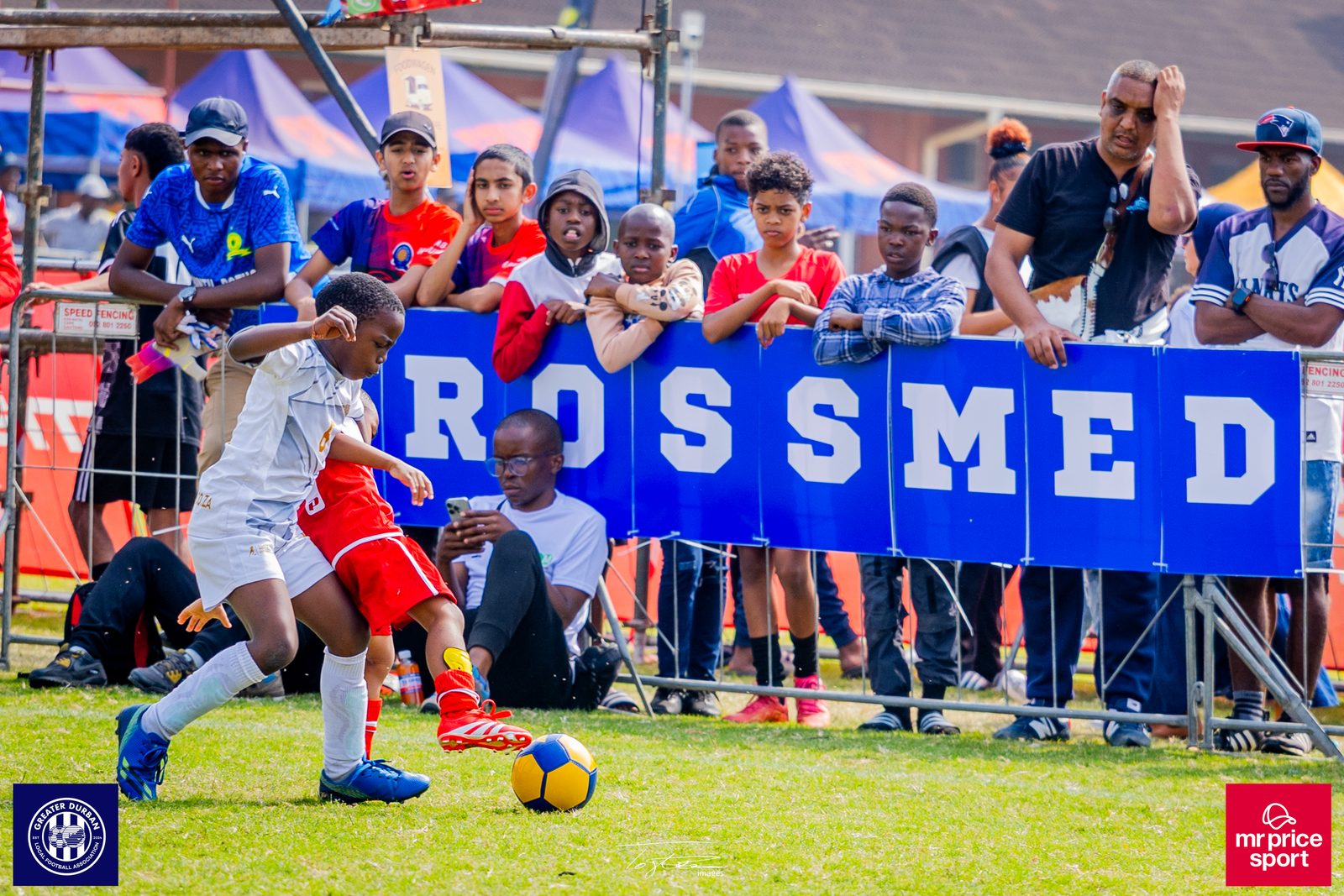 Crossmed Orient Premier 7's photo 80