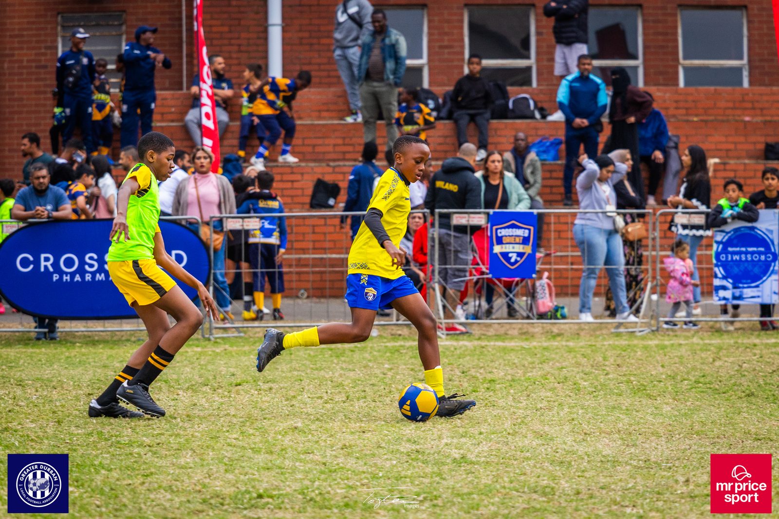 Crossmed Orient Premier 7's photo 69